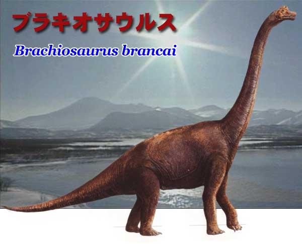 恐竜画像