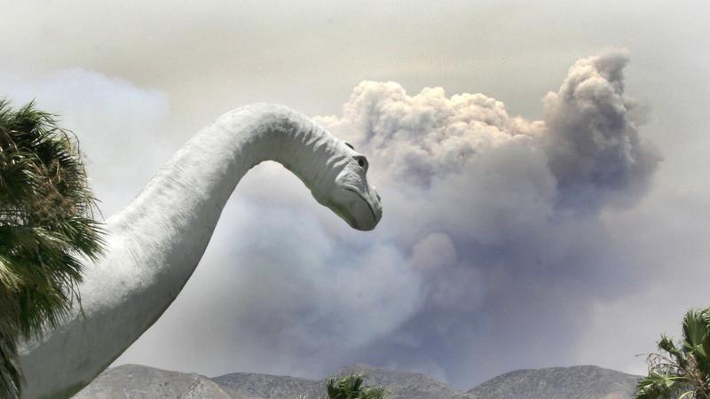 恐竜画像