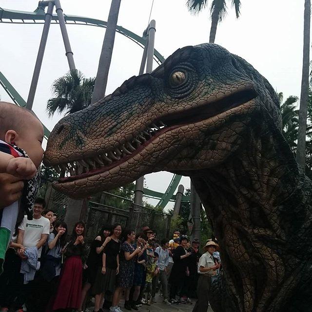 恐竜画像