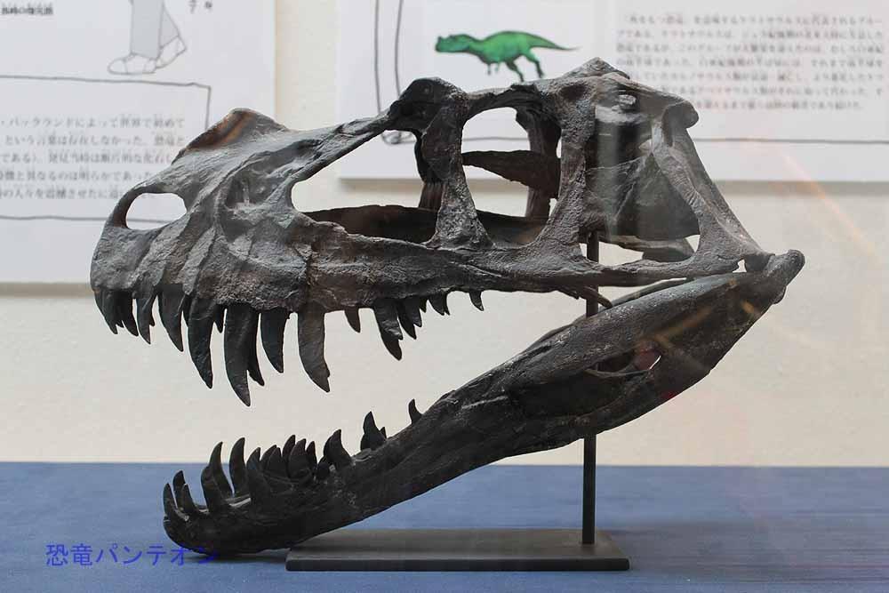 恐竜画像