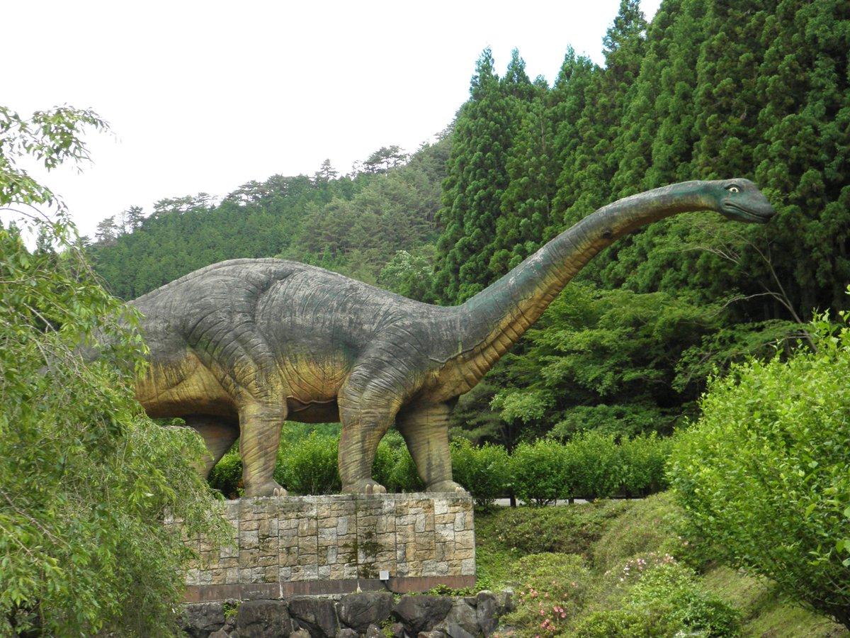 恐竜画像